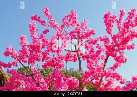 Phayao Lake, Phayao, Thailand Stock Photo