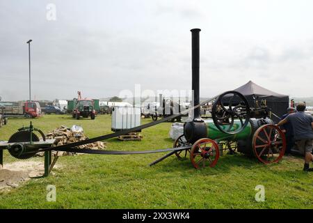 Traction engines at the West of England Steam Engine Rally - John Gollop Stock Photo