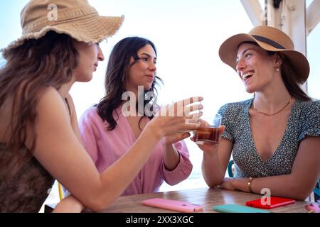 Three woman toasting ,dinner happy friends Stock Photo