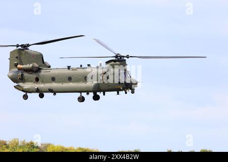 Royal Air Force Boeing Chinook HC2 heavy lift helicopter, ZD980,  of 7 Squadron based at RAF Odiham displays at RAF Syerston Air Cadet Space Camp, Fam Stock Photo