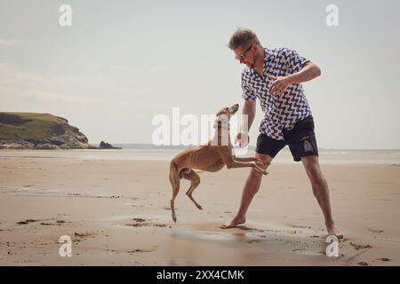 One Caucasian man playing with Whippet dog on sand beach, enjoying summer day by the sea, carefree active lifestyle with pet on sandy shore with ocean Stock Photo