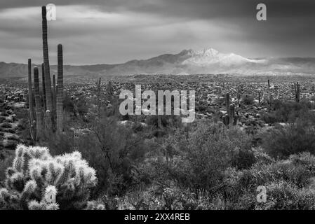 Black and white landscape photo of the Sonoran Desert and Four Peaks Mountain near Phoenix, Arizona, United States Stock Photo