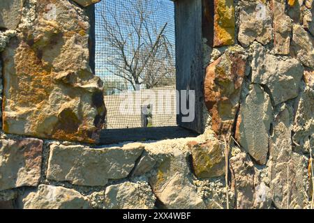 Looking through the mesh screen on a window of an old rock building, probably a service station, located along Old Route 66, near Spencer, MO, USA. Stock Photo