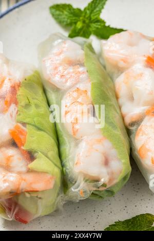 Homemade Vietnamese Shrimp Spring Rolls with Lettuce and Vegetables Stock Photo