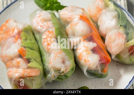 Homemade Vietnamese Shrimp Spring Rolls with Lettuce and Vegetables Stock Photo