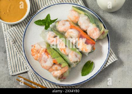 Homemade Vietnamese Shrimp Spring Rolls with Lettuce and Vegetables Stock Photo