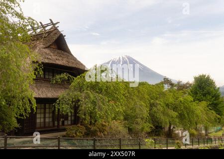 Traditional thatched-roof homes with Mt. Fuji in the background on a clear day – Yamanashi Prefecture, Japan Stock Photo