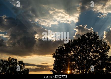 Silhouetted Trees Against A Summer Setting Sun With Shafts Of Sunlight Against Storm Clouds Stock Photo