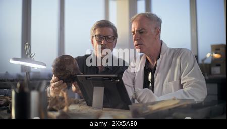 Two archaeologists examine fossil skull, conduct historical and scientific research on remains of ancient extinct human, use digital tablet computer. Scientists work in archaeological laboratory. Stock Photo