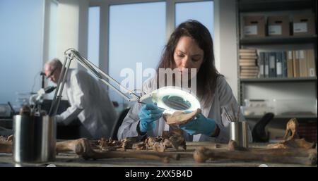 Archaeological Lab Modern archaeological lab: Archaeologist studies ancient human anatomy ...