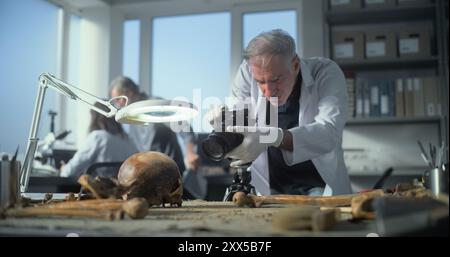 Senior archaeologist takes photo of fossil remains of prehistoric human skull and bones with camera in modern archaeological lab. Scientists work in the background. Archaeology and paleoanthropology. Stock Photo