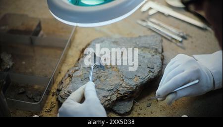 Artifact Analysis Example Close up of archaeologist doing fossil analysis, cleaning artifact of ...