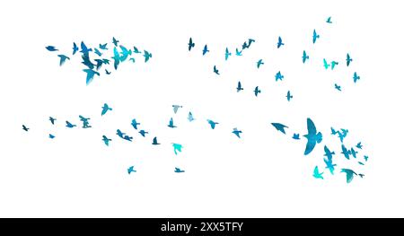Set of flocks of blue birds. hand drawing. Not AI. Vector illustration Stock Vector