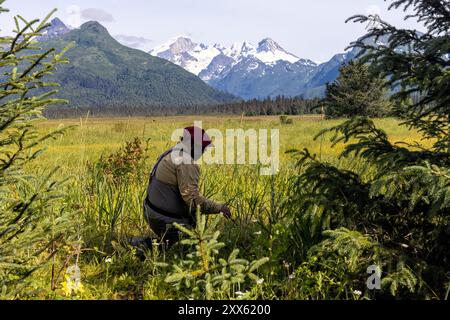 Person studying fungi at Brown Bear Bay with Mount Iliamna in the background - Chinitna Bay, near Lake Clark National Park and Preserve, Alaska Stock Photo