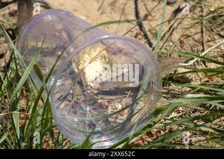 clear empty fast food cup garbage Stock Photo