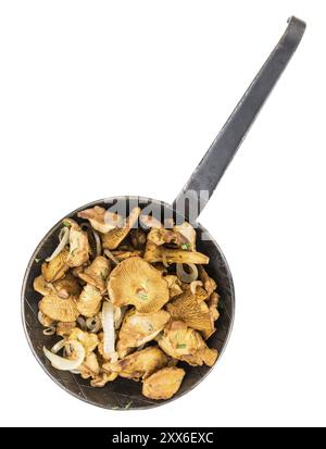 Fresh made Fried Chanterelles isolated on white background, close-up shot Stock Photo