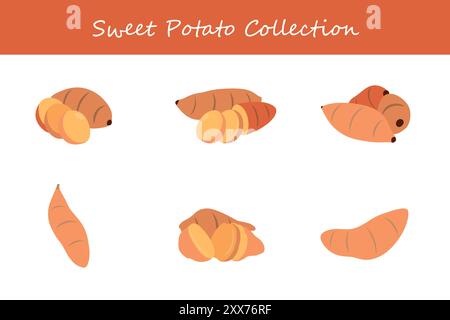 sweet potato collection in different poses. Vector illustration. Stock Vector