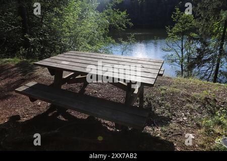 Wooden picnic table by the lake. Empty bench in forest near lake in Norway. Stock Photo