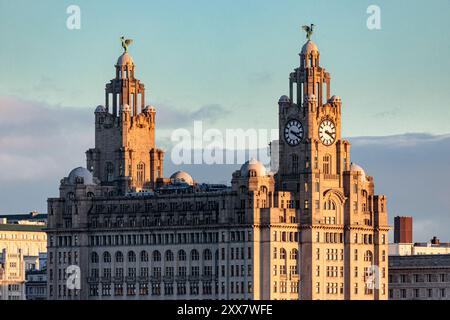 The Royal Liver Building, Liverpool, England Stock Photo