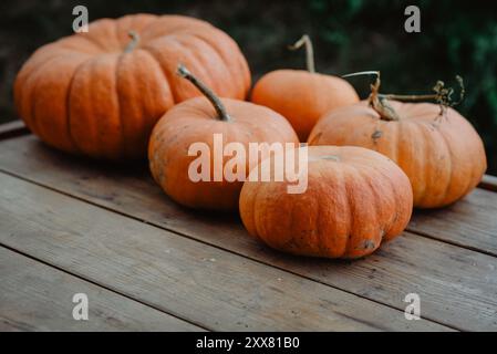 Five pumpkins on a wooden surface, outdoor rustic setting Stock Photo
