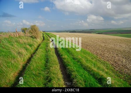 A rutted fieldside track following the route of on old Roman road across North Down, heading east towards Beckhampton, Wiltshire. Stock Photo