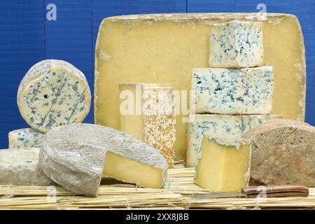 France, Puy de Dome, Clermont Ferrand, Nivesse cheese dairy, the 5 Auvergne PDO cheeses (Cantal, Saint-Nectaire, Fourme d'Ambert, Salers and Bleu d'Auvergne) Stock Photo