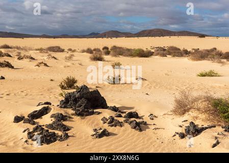 Spain, Canary Islands, Island of Fuerteventura, Corralejo, Corralejo Dunes Natural Park Stock Photo