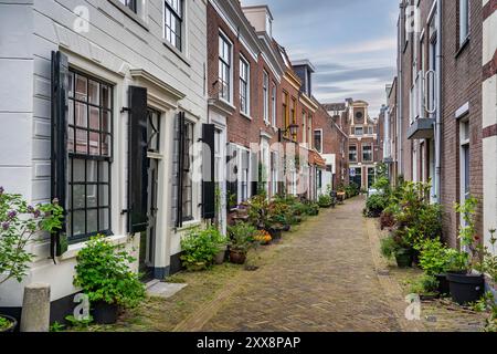 Netherlands, province of Hollande-Méridionale, Haarlem Stock Photo