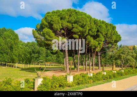 France, Herault, Montpellier, Port Marianne district, Charpak park Stock Photo