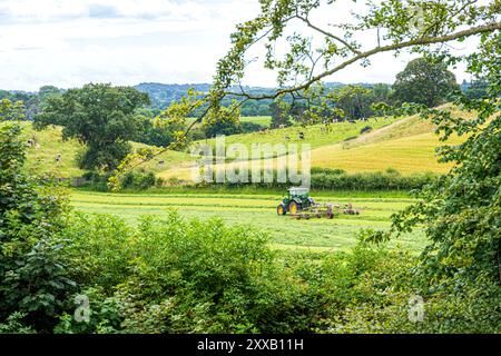 Turning grass for silage making with a John Deere 6130R tractor and a Claas Liner 2900 hay rake in Irthington, Cumbria, England UK Stock Photo