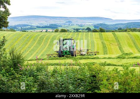 Turning grass for silage making with a John Deere 6130R tractor and a Claas Liner 2900 hay rake in Irthington, Cumbria, England UK Stock Photo