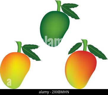 illustration of ripe mango vector design on a white background Stock Vector