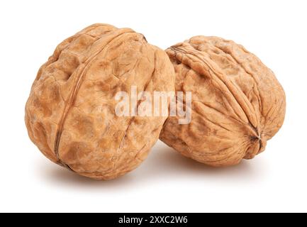 walnuts path isolated on white Stock Photo