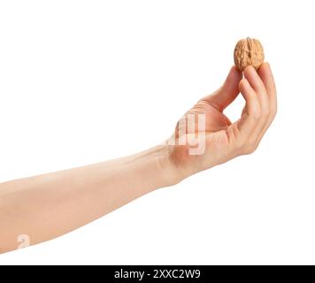 walnuts in hand path isolated on white Stock Photo