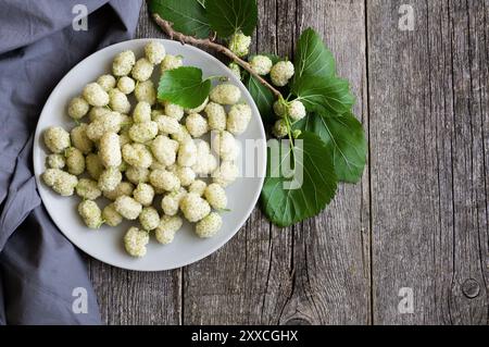 Fresh white mulberries in plate with branch on wooden background, summer fruit concept Stock Photo