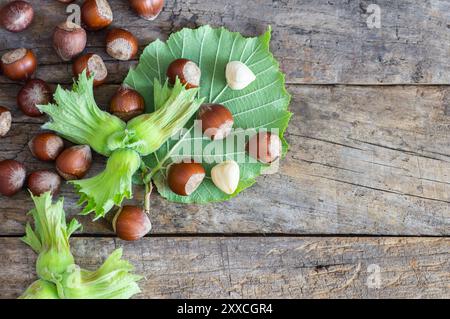 Hazelnuts with green branch on wooden background Stock Photo