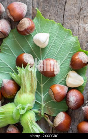 Hazelnuts with green branch on wooden background Stock Photo
