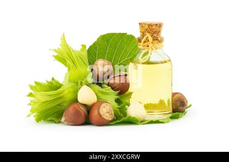 Glass bottle of hazelnut oil isolated on white background with green fresh hazelnuts Stock Photo