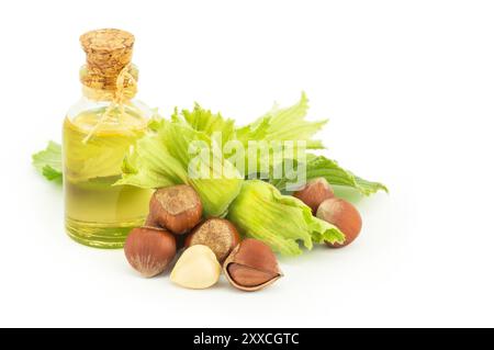 Glass bottle of hazelnut oil isolated on white background with green fresh hazelnuts Stock Photo