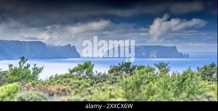 Panorama view of Tasman Island and Cape Pillar with foreground vegetation from Cape Raoul, Tasman National Park, Tasman peninsula, Tasmania Stock Photo