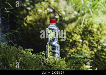 Transparent plastic A bottle of clean water with a red lid stands in the grass and moss on the background of the luscious greenery of the spring fores Stock Photo