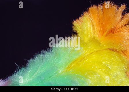 Colourful feather duster against a black background Stock Photo