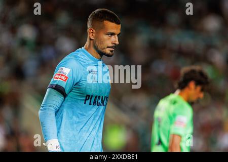 Faro, Portugal. 23rd Aug, 2024. Ricardo Velho (SC Farense) seen during Liga Portugal game between teams of SC Farense and Sporting CP at Estadio Algarve. Final Score : SC Farense 0-5 Sorting CP Credit: SOPA Images Limited/Alamy Live News Stock Photo