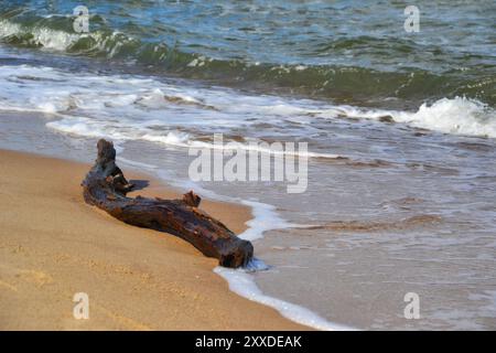 On the Polish Baltic coast Stock Photo