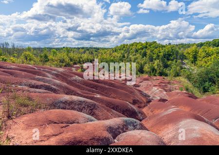 Formed 450 million years ago, the Cheltenham Badlands are a large area of exposed red Queenston red shale that contain thin layers of siltstone and sa Stock Photo