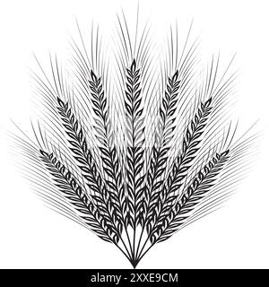 Grains plants and cereal, rye barley and wheat ear spikes. Bakery food concept. Hand drawn sketch vector illustration Stock Vector