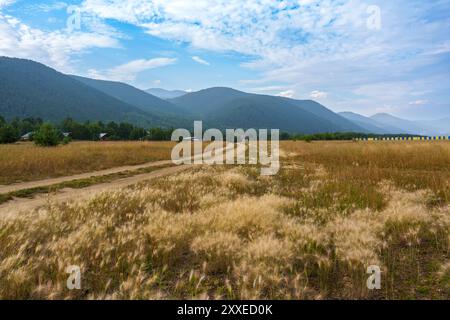 A winding dirt path cuts through a sunlit grassy field, leading towards misty mountains under a partly cloudy sky, creating a tranquil and picturesque Stock Photo