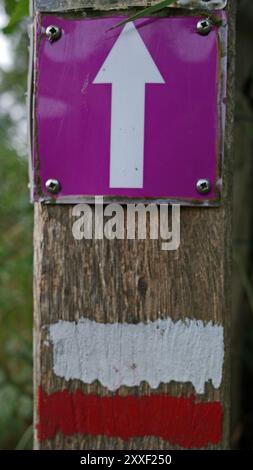 Two markers on a post next to a path. A white arrow on a purple background for a local hiking trail and red and white stripes for a long-distance hike Stock Photo