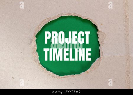 Project timeline message written on ripped torn paper with green background. Conceptual project timeline symbol. Copy space. Stock Photo
