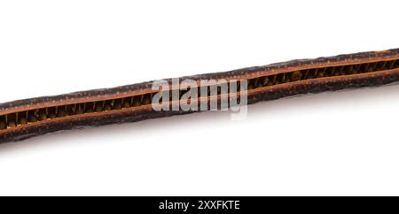 Logs seedpods of Senna spectabilis, golden wonder tree, isolated on white background Stock Photo